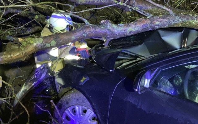 30 stycznia wieczorem w Węsiorach doszło do wypadku. Kierujący samochodem wjechał na drzewo, które wcześniej przewróciło się na jezdnię! Kolejne podcięcie?!