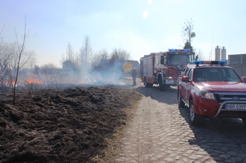 Pożar traw w Braniewie. Zagrożone były cysterny z gazem