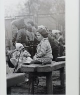 Wystawa plenerowa fotografii Bogdana Kuczmańskiego ,,Smaki dzieciństwa” - ,,Mleko” i ,,Wrotkarze" na placu Zwycięstwa w Oleśnicy (FOTO)