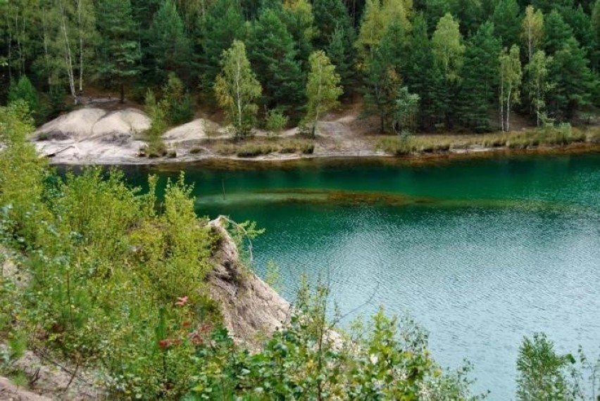 Wyjątkową atrakcją i numerem jeden jest Ścieżka...