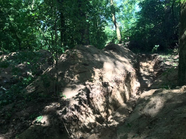 Cmentarz ewangelicki w Kolnie jest przeszukiwany przez fachowców z Pracowni Badań Historycznych i Archeologicznych Pomost z Poznania (3.06.2019).