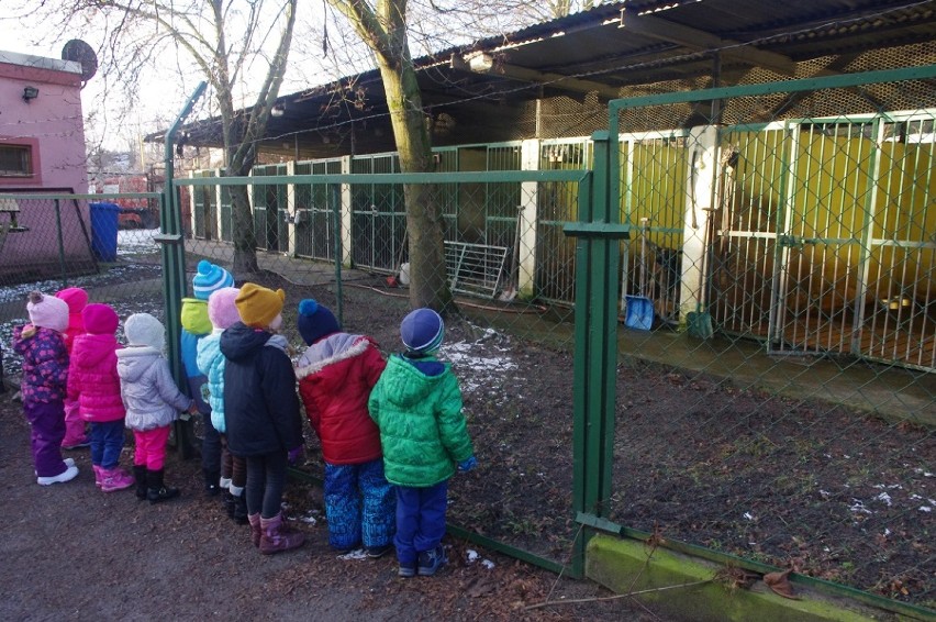 Dzieci z niepublicznego przedszkola Na Zielonym Wzgórzu w gabinecie zastępcy komendanta policji