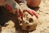Stargardzcy archeolodzy na ratunek dziedzictwu! Badania archeologiczne w Żelewie pod Gryfinem ZDJĘCIA