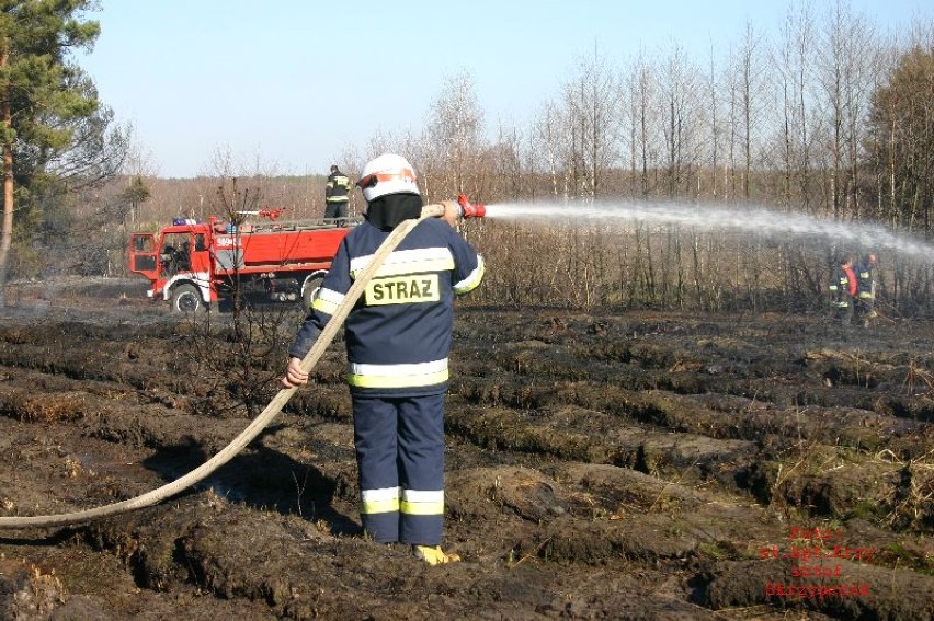 Pożar lasu w Jeziorach gasili strażacy z dwóch województw, z...