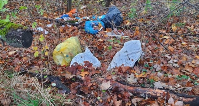 Śmieci w lasach i na poboczach dróg - to problem, który nie znika z powiatu tucholskiego.