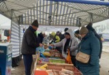 Największy łódzki bazar rozmaitości, czyli giełda przy ulicy Puszkina. Ty kupisz niemal wszystko w atrakcyjnych cenach ZDJECIA