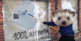 Antyfaszyści z Ostrowa oczyszczają miasto na wiosnę