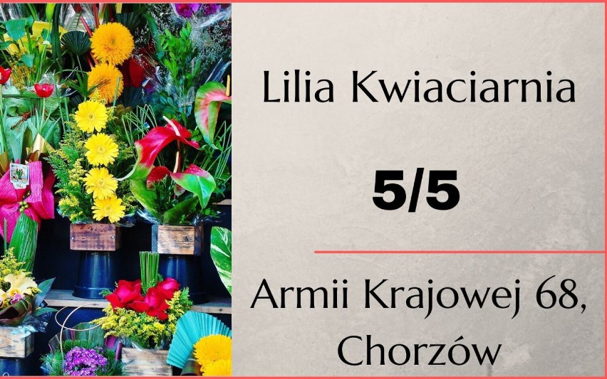  TOP 10 najlepszych kwiaciarni w Chorzowie. Tam znajdziecie najładniejsze wieńce na Wszystkich Świętych!