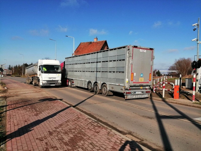 Przejazd kolejowy w Malborku nadal bez czynnych rogatek. PKP PLK ponownie podają tę samą przyczynę opóźnienia