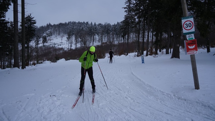 Trasy narciarstwa biegowego w Nadleśnictwie Jugów [FOTO]