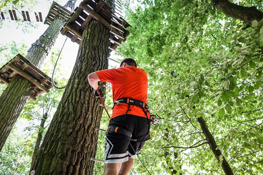 Park linowy Tarzan w Lesznie znów działa. Otwarto go 1 czerwca 2023