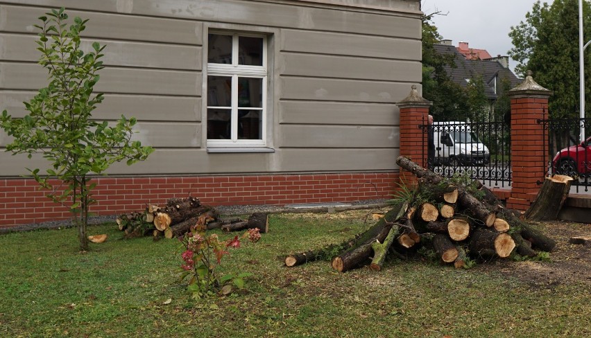 Wycięto w pień 40 drzew przy parafii w Zdroju