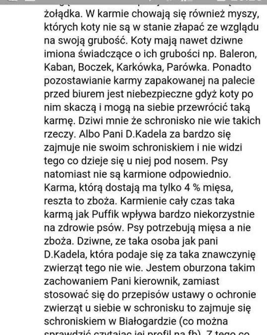 Donos na schronisko w Szczecinku: - Koty są agresywne, mogą się zdenerwować i napaść całym stadem na panią Kadelę