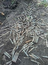 Gmina Chełm.  Kobieta podczas prac w ogrodzie znalazła ponad 500 sztuk amunicji z czasów wojny (AKTUALIZACJA)