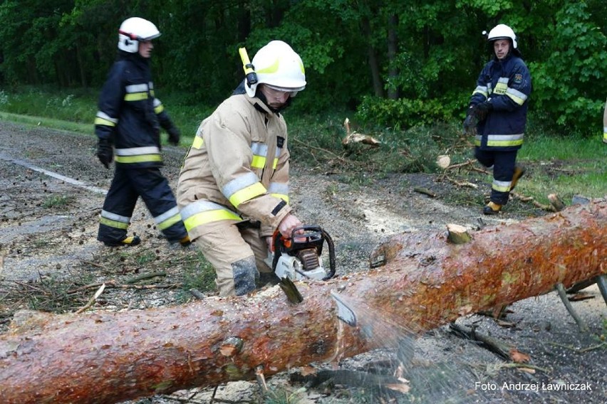 Powalone drzewa zablokowały jezdnię w okolicach Zakrzewa
