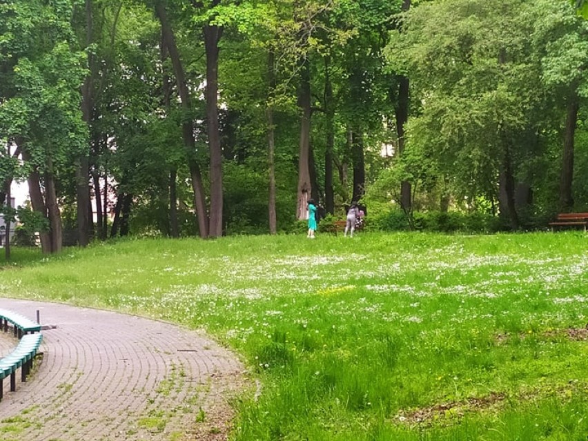 W lubelskim Ogrodzie Saskim coraz częściej można spotkać spacerowiczów. Z kolei w centrum handlowym Plaza kupujących nie brakuje