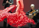 Festiwale - Do końca tygodnia Poznań stolicą flamenco