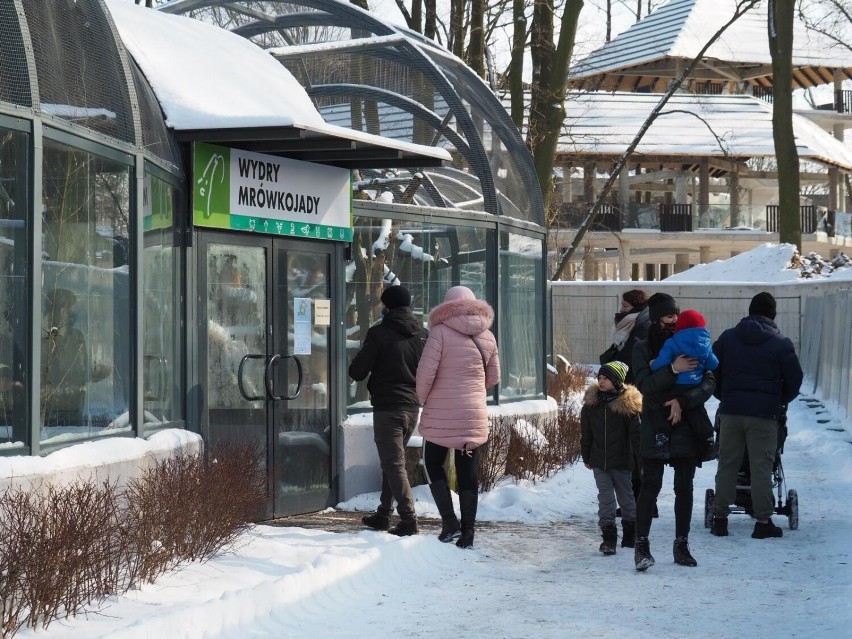 Zimą w zoo także może być ciekawie.