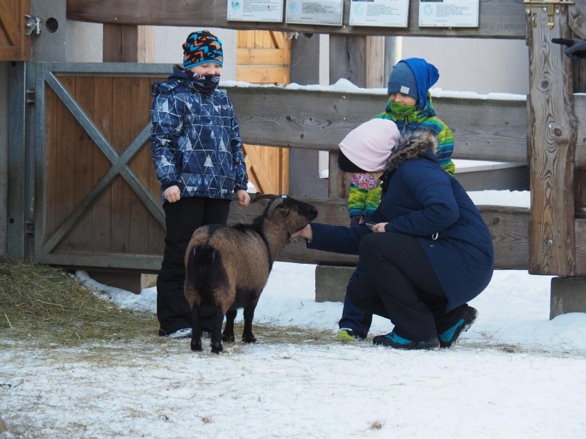 Wizyta w łódzkim zoo to świetny pomysł na spędzenie czasu z...