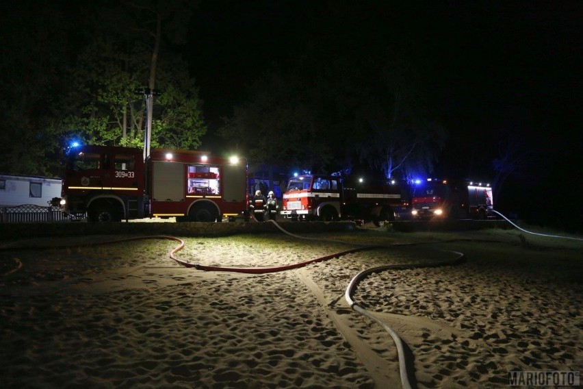 Pożar nad Jeziorem Turawskim.