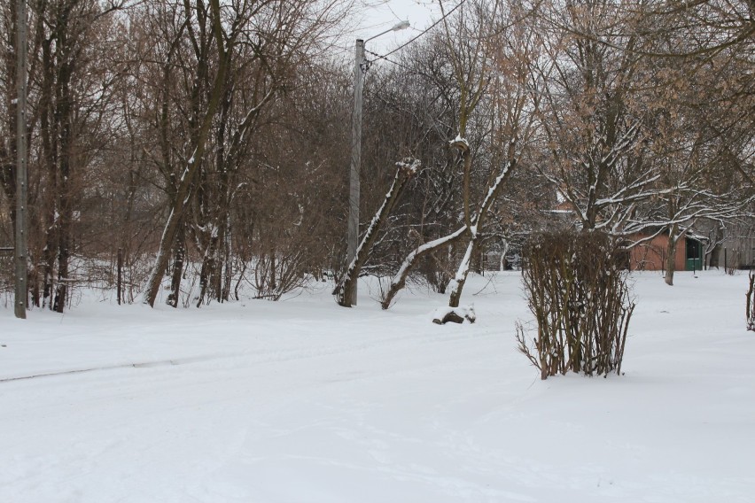 Zimowy spacer w śniegu [zdjęcia użytkownika MM]