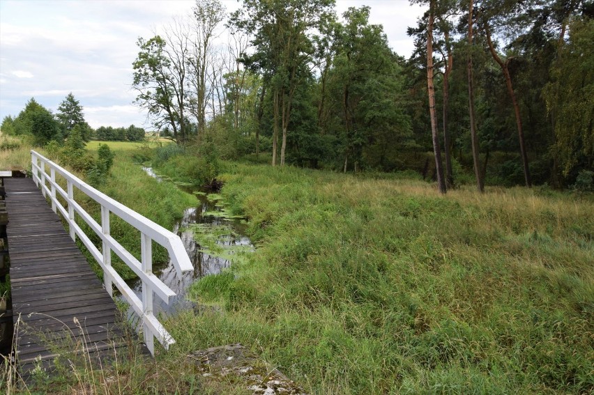 HISTORIA „Räuberberg”, czyli prastare grodzisko nad Flintą w Nininie