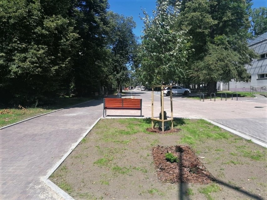 Woonerf na ul. Stefanowskiego z mniejszą ilością drzew niż planowano. Do remontu kolejny odcinek ulicy ZDJĘCIA