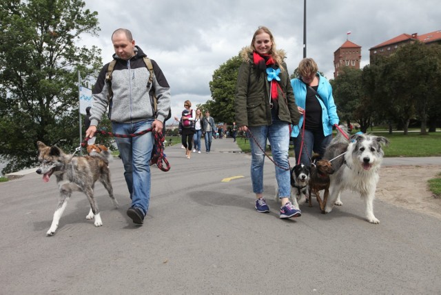 Marsz Azylanta 2018 w Krakowie