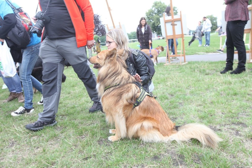 Marsz Azylanta 2018 w Krakowie