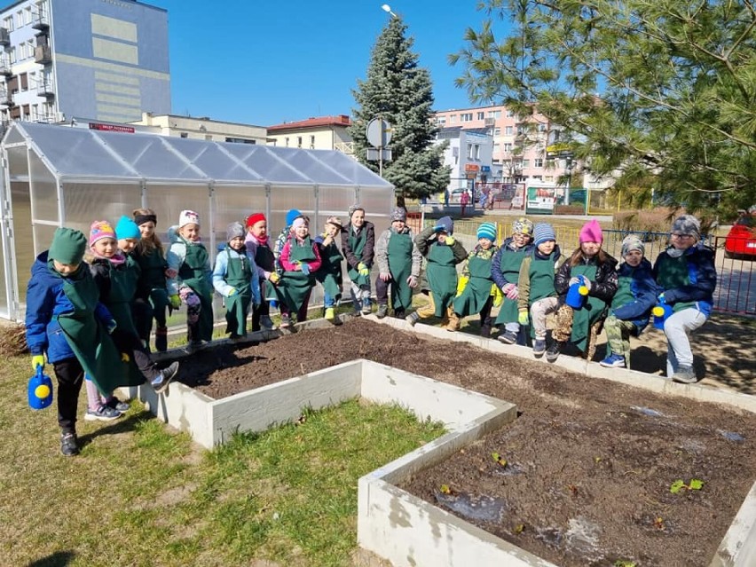 Rosną nam mali ogrodnicy! Przy przedszkolach powstały...