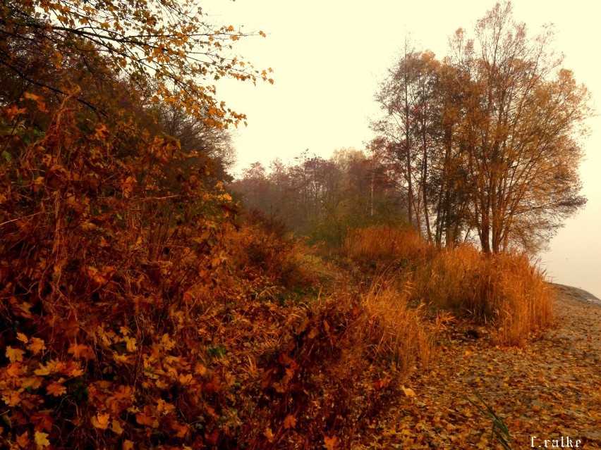 Foto Powiat Pucki. Oto bardzo niezwykły jesienny i fotograficzny spacer po Pucku i okolicy