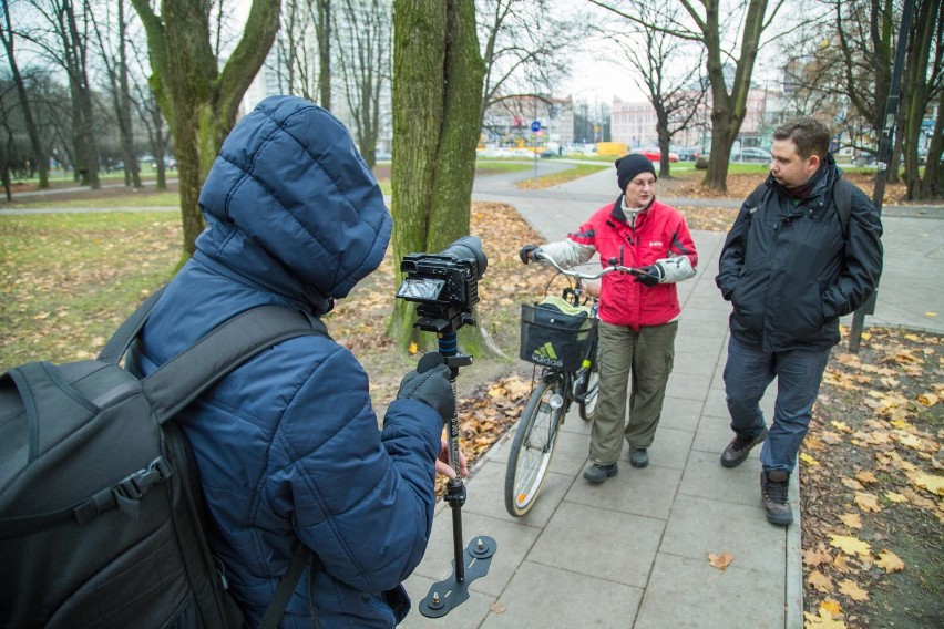 Pies pod choinkę? Nie kupuj, adoptuj po świętach! [WIDEO]