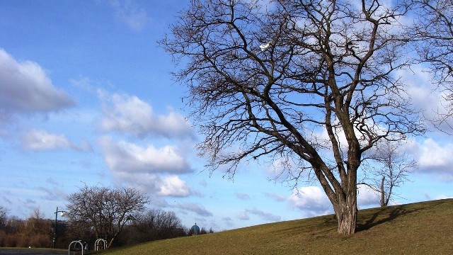 Park Moczydło na Woli. Zdjęcia wiosny