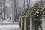 Atak zimy w Legnicy. Kierowcy i piesi, uważajcie, drogi i chodniki są śliskie! Zobaczcie zdjęcia