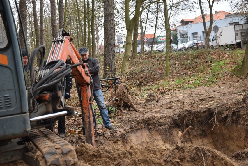 KROTOSZYN: Ekshumacja szczątków żołnierzy niemieckich na ulicy Ostrowskiej [ZDJĘCIA + FILM]