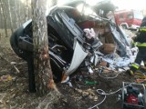 Fatalny wypadek pod Miedzichowem. Bus roztrzaskał się na drzewie. Lądował LPR [ZDJĘCIA]