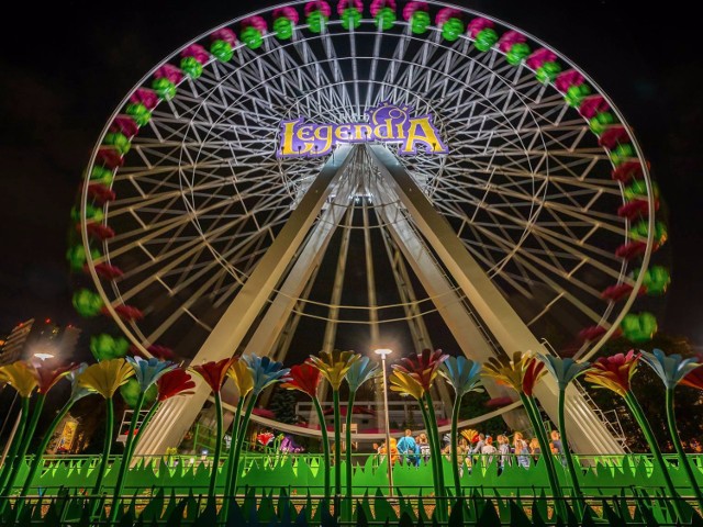 21 lipca w Śląskim Wesołym Miasteczku odbędzie się kolejna impreza z cyklu Legendia at Night.