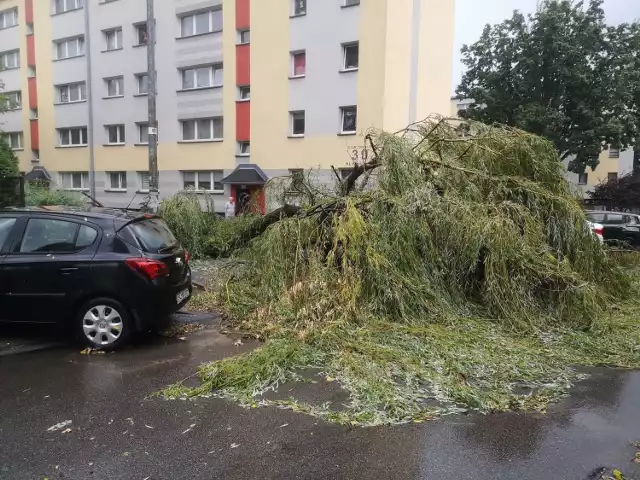 Gwałtowna burza przeszła przez Częstochowę. Wichura wyrywała drzewa na Tysiącleciu