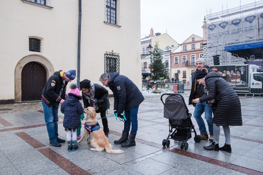 WOŚP 2019. Koncert na tarnowskim rynku [ZDJĘCIA]