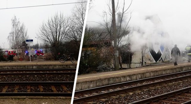 Dziś po południu w budynku stojącym tuż przy stacji PKP Bydgoszcz-Osowa Góra wybuchł pożar. Na miejscu jest straż pożarna.

Jak informują nas strażacy, paliło się poddasze w niezamieszkanym budynku parterowym. Było podejrzenie, że w środku mogą znajdować się bezdomni. Strażacy przeszukali budynek i nikogo nie znaleźli.

Około 15.30 trwało dogaszanie poddasza.


Stop Agresji Drogowej. Odcinek 5


