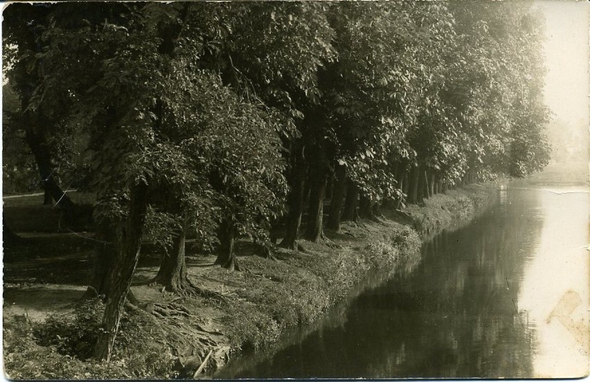 Rzeka Bzura przed 1939 rokiem