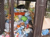 Segregacja śmieci w Złotowie.