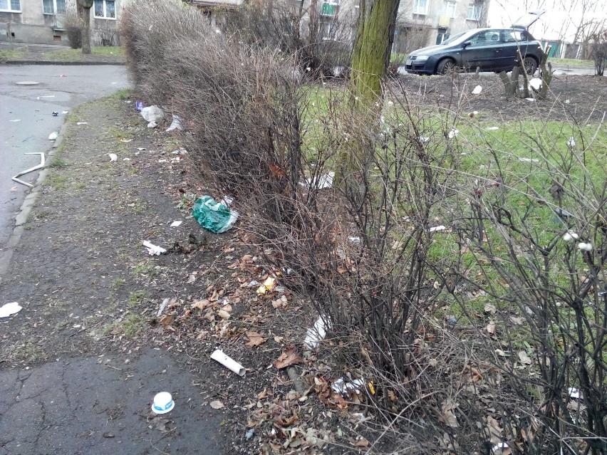 Śmieci w Bytomiu - 23 grudnia 2013. Przy niektórych posesjach sporo bałaganu
