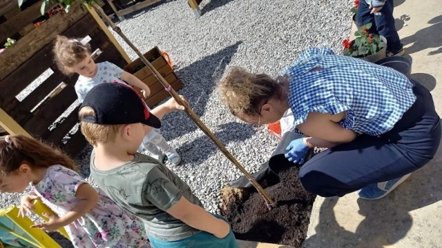 - Gdy Fundusz Naturalnej Energii ogłosił nabór wniosków do XII edycji programu grantowego postanowiłyśmy wziąć w niej udział. Powstał projekt pod tytułem "Powrót do tajemniczego ogrodu" - opowiada dyrektor przedszkola Magdalena Kalka, która wspólnie z Eweliną Lewandowską napisały ten projekt. I udało się!