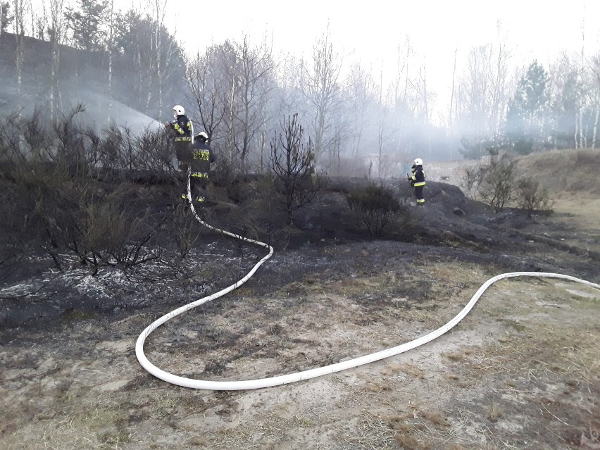 Rozpoczął się sezon wypalania traw. Jest to zabronione i bardzo niebezpieczne 