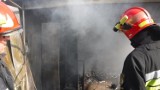 Pracowite dni łęczyckich strażaków. Seria pożarów w całym powiecie [FOTO!]