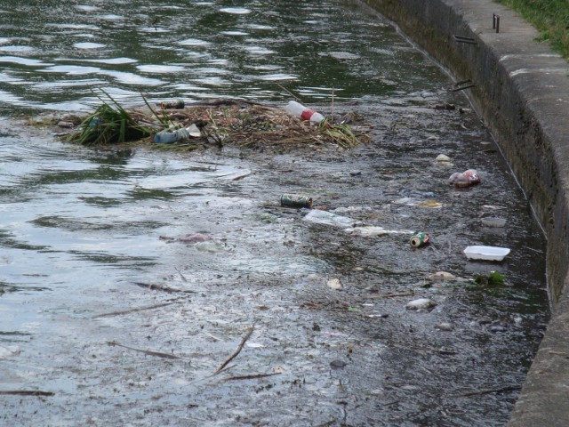 Zalew Zemborzycki: Śmieci mają zniknąć z brzegów