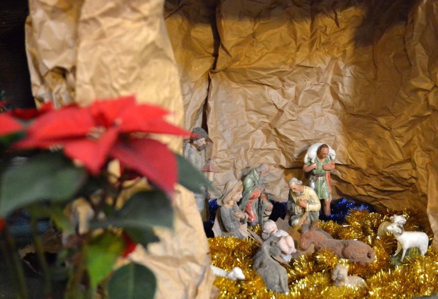 Szopki Bożonarodzeniowe w lubelskich kościołach