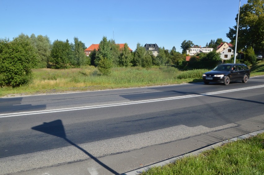 W Miastku jest już enklawa dla jeży, wiewiórek, żab i innych stworzeń żyjących w trawie