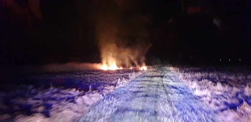 Nocny pożar traw w Konarskiem w gminie Książ Wlkp.